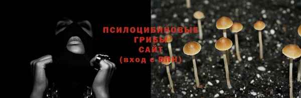 шишки Беломорск