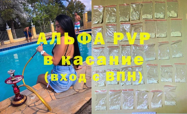 шишки Беломорск